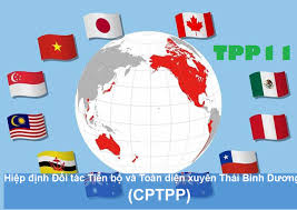 TPP, CPTPP and the PHARMAC model - One Sock: Heather Roy's ...